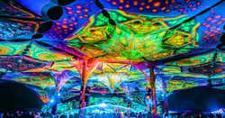 Läufer beim Stadtwerke Lübeck Marathon in der Altstadt.